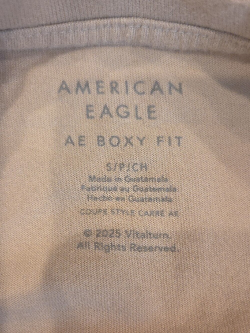 American Eagle Tan Graphic Boxy Tee - Picture 3 of 4